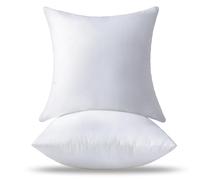 OTPIPCS Set di 2 inserti per cuscini, di alta qualità, morbidi e soffici, decorativi, bianchi, quadrati, per soggiorno, divano e camera da letto (55 x 55 cm, set da 2)