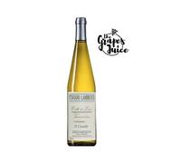 OTTAVIANO LAMBRUSCHI IL CASALE 2024 6BT VINO BIANCO VERMENTINO COLLI LUNI DOC