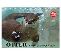 Otter. Frech, laut und clever (Tischkalender 2026 DIN A5 quer), CALVENDO Monatskalender: Putzige Räuber und echte Rabauken im und am Wasser