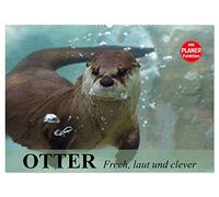 Otter. Frech, laut und clever (Wandkalender 2026 DIN A2 quer), CALVENDO Monatskalender: Putzige Räuber und echte Rabauken im und am Wasser