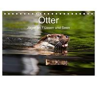 Otter - Jäger an Flüssen und Seen (Tischkalender 2026 DIN A5 quer), CALVENDO Monatskalender: Otter - geschickte Jäger im Wasser