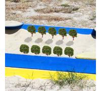 Ottieni 10 pz modelli di alberi da costruzione ideali per il layout della scena