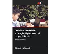 Ottimizzazione delle strategie di gestione dei progetti ibridi:: Gestione del progetto