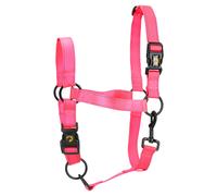 Ottimo Halter Premium Rosa Per Cavalli, Riflettente, Confortevole