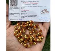 Ottone antico + ROSARIO 45 perle naturali 5 Mukhi RUDRAKSHA CERTIFICATO LABOR...