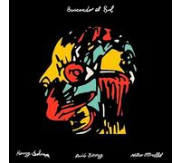 Ottonello, Mateo / Henry Solomon / David Binney - Buscando El Sol [Vinyl LP] [VINYL]