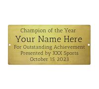 OTXIXTO Targhetta Personalizzata con Nome Targa Personalizzata per Scrivanie da Ufficio Porta Parete Trofeo Targhetta Citofono Esterno con Viti (Oro, Angolo Arrotondato, 6" x 3")