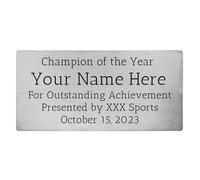 OTXIXTO Targhetta Personalizzata con Nome Targa Personalizzata per Scrivanie da Ufficio Porta Parete Trofeo Targhetta Citofono Esterno con Supporto Autoadesive (Argento, Angolo Arrotondato, 6" x 3")