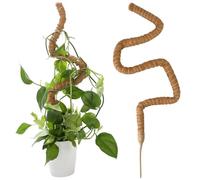 OTYMIOW Bastoncino di Muschio Flessibile per Piante 125 cm Supporto per Piante Monstera Rampicanti in Cocco con Accessori Bastoncino di Muschio per Traliccio Monstera Palo Paletto di Muschio di Sfagno