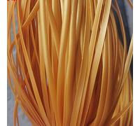 OUdini Rattan Di Plastica Vimini 500G Pe Rattan Materiale per Tessitura Rattan Di Plastica Sintetica, per Lavorare a Maglia e Riparare la Sedia con Cestello Portaoggetti per il Tempo Libero All'Aperto