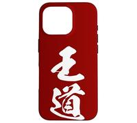 OUDOU 王道 - Calligrafia giapponese, Il Sentiero Nobile Custodia per iPhone 16 Pro
