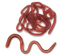 OUDQFCJ 10 Pezzi Artificiale Earthworm,Vermi in Plastica Morbida,Falsi Lombrichi,Giocattoli Simulazione Lombrichi,Realistico di Ggetti di Scena per Il Pesce d'Aprile e Gli Scherzi di Halloween
