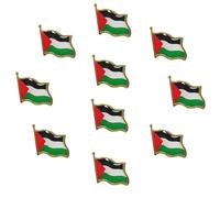 OUDQFCJ 10 Pezzi Distintivo della Palestina, Distintivo della Bandiera degli Uomini e delle Donne, Distintivo della Palestina, Fascia da Braccio, per patrioti, pacifisti, Decorazione Esterna