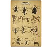 Oudrspo Arthropoda Targa in metallo in metallo Conoscenza Insetti - Imenotteri Panoramica Infografica Poster retrò Aula Ufficio Scienze domestiche Decorazione da parete Stampa Poster 8x12 pollici