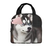 Oudrspo Borsa termica per il pranzo con simpatico cane Hu per uomo e donna, a prova di perdite, leggera, riutilizzabile, di grande capacità, ideale per lavoro, viaggi e ufficio.