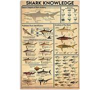 Oudrspo Conoscenza degli squali Targhe in metallo Decorazioni per la stanza vintage Guida scientifica Poster retrò Home Club Garage Decorazione da parete Targa 8x12 pollici