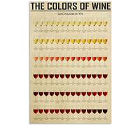 Oudrspo Guida alla conoscenza del vino Targhe in metallo I colori del vino Poster infografici Insegnamento Targa Decorazione Casa Cucina Sala Bar Decorazione della parete 8x12 pollici