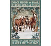 Oudrspo Poster vintage in metallo e alluminio con scritta C'era una volta un ragazzo che amava davvero i procioni, 12x16 pollici, decorazione da parete
