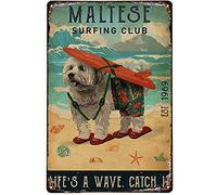 Oudrspo Poster vintage in metallo e alluminio con scritta C'era una volta un ragazzo che amava davvero i procioni, 12x16 pollici, decorazione da parete