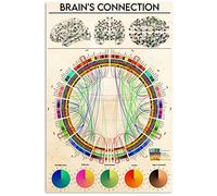 Oudrspo Segnaletica in metallo con la scritta Come leggere un'etichetta nutrizionale di Brain's Connection, per la stanza del club, decorazione da parete per la casa, 8x12 pollici