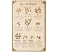 Oudrspo Ta dei cereali antichi1 Cartelli in metallo per la conoscenza dei cereali antichi Decorazione da parete Poster di cereali e grano per agricoltori Infografiche Cartello in latta per la casa