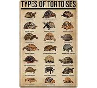 Oudrspo Tartarughe Conoscenza Targa in metallo in metallo Tipi di tartarughe Stampa Poster Scuola Caffetteria Camera da letto Bagno Cucina Casa Arte Decorazione murale Targa 12x16 pollici