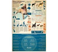 Oudrspo Vintage Dog Training Conoscenza Effetto dell'addestramento del cervello dei cani Pet Shop Poster Metallo Alluminio Targa in latta 12x16 pollici Decorazione da parete