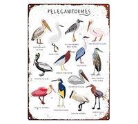 Oudrspo Vintage Eeypy can Tipo di pellicani caniforme Airone Spatola Tipo di uccelli Poster Metallo Alluminio Targa in latta 12x16 pollici Decorazione da parete