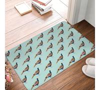 Oudrspo Zerbino d'ingresso resistente e morbido con motivo fagiano, ideale per interni ed esterni, con suola in gomma, 40 x 60 cm.