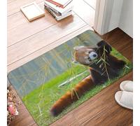 Oudrspo Zerbino resistente e morbido per ingresso, ideale per interni ed esterni, con suola in gomma, a tema panda rosso o panda minore, 40 x 60 cm.