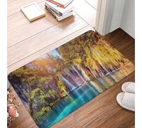 Oudrspo Zerbino senza cuciture con motivo a scimmie, resistente e morbido, ideale per l'ingresso di casa, con suola in gomma, adatto sia per interni che per esterni, 40 x 60 cm.