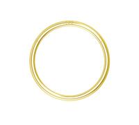 OUFER Body Piercing Nose Ring Hoop 20G Nose Ring Hinged Segment Helix Lip Rings Hoop Thin Nose Hoop Piercing Gold Cartilage Daith Rook Tragus Conch Earrings Jewellery