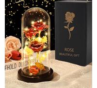 ougiver Rose conservate personalizzate da donna, rosa illuminata per la festa della mamma, rosa eterna a LED con cupola di vetro conservata, regalo di compleanno per mamma, moglie, amici