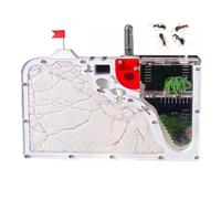 OUHKDM Kit per Fattoria di formiche in Acrilico con Scatola di foraggiamento, Coperchio Rimovibile per Un Facile Accesso, Ideale per l'osservazione delle formiche, la Riproduzione(235 * 135 * 40MM)