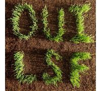 Les Savy Fav OUI, LSF (CD) Album