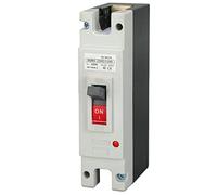 Oumefar Interruttore Automatico CC 1P 250 V 160 A, Interruttore Batteria Solare MCCB con Custodia Stampata per Fotovoltaico di Energia Eolica