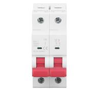 Oumefar Interruttore Automatico Miniaturizzato 2P, Interruttore Pneumatico Ad Alto Potere di Interruzione per la Protezione dei Circuiti in Aree Industriali e Commerciali (20A)