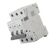 Oumefar L'interruttore Automatico di Protezione Dalle Perdite Elettriche Protegge Efficacemente Sovraccarico e Cortocircuito per Uso Domestico (50A)