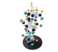 Oumefar Modello Molecolare delle Proteine Strumento Educativo Dai Colori Vivaci per L'uso in in Laboratorio Kit di Struttura in Plastica