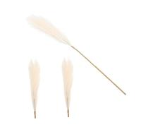 OUNONA 1Set Composizioni Floreali Pampa per Decorazioni Matrimoni e Feste per Interni e Vasi Decorativi
