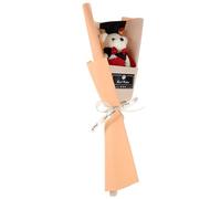 OUNONA La Bambola del dottor Orso Laurea Peluche per cameretta Culla Cam Decorazioni Festa Diploma maturità regalini fine Scuola Bouquet di Bambola Orsetto di Bouquet Poliestere