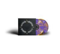 Our Hollow, Our Home Burn in the Flood (Vinyl LP)