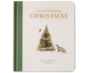Our Little Adventure at Christmas: Featuring Foundational Language Concepts and Lessons on the Joy of Giving: 12