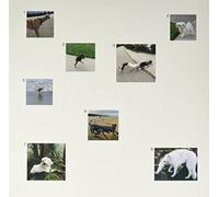 Our Souls Are in the Hands of the An Era of Spiritual Tenebrae (Vinyl LP)