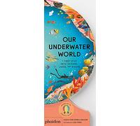 Sue Lowell Gallion Our Underwater World (Libro di cartone)