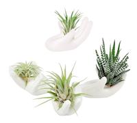 Ourhommie Confezione da 4 supporti per piante grasse in ceramica unici Tillandsia per piante grasse, decorazione per la casa, scrivania, tavolo, mensola e finestra, bianco