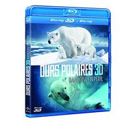 Ours polaires : banquise en péril 3D