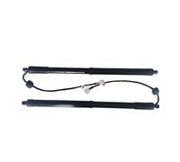 OUSDUO Kit Ammortizzatori E Montanti di Sollevamento per Portellone Posteriore Elettrico 904520316R per R&enault per Koleos II 2016 2017 2018 2019 2020 2021 Elettrico Portellone