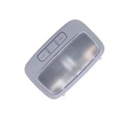 OUSDUO Lampada Da Console Centrale Grigia Per Hyundai I800 Per IMax H1 E Per Starex 2007 2008 2009 2010 2011 2012 2013 2014 2015