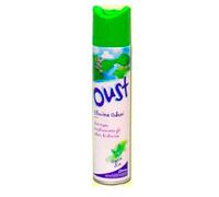 OUST SPRAY DISINFETTANTE IGIENIZZANTE ELIMINA ODORI DEODORANTI X AMBIENTE 300ML